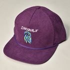 DINOSAUR Jr.