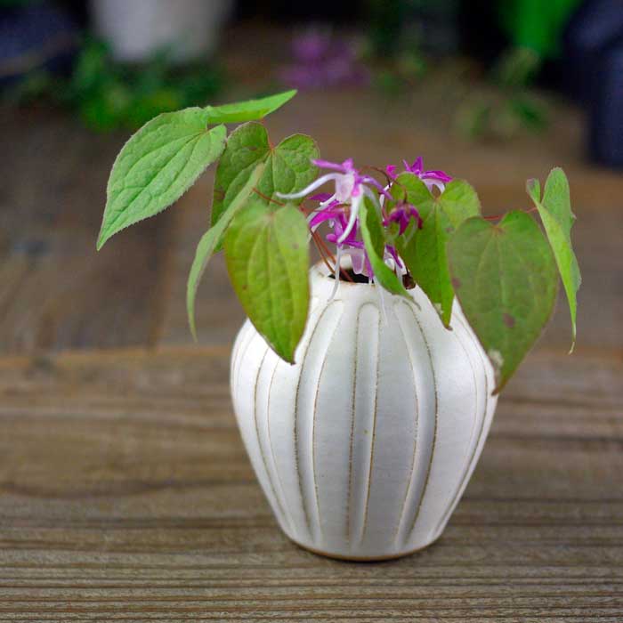 徳利型 一輪挿し 益子焼 フラワーベース 陶器製 花器 花瓶 焼きもの