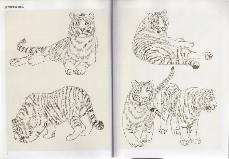 虎 工筆動物画法 水墨とら絵の描き方 中国絵画/虎 工笔动物画法