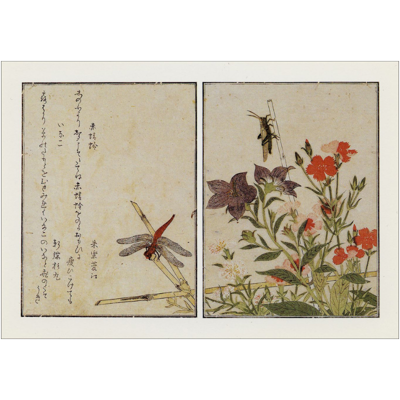 絵はがきセット〈画本虫撰(えほんむしえらみ)〉喜多川歌麿(8枚組)京都