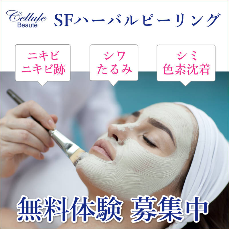 セルールボーテ SF AHAハーバルピーリング 新規導入セット (導入講習