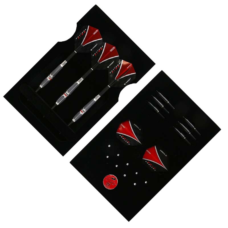 TARGET DAYTONA PIRE ダーツセットJP.0118g