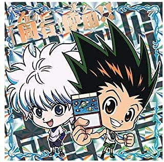 HH3-26 ゴン＆キルア WHR にふぉるめーしょんHUNTER×HUNTERウエハース