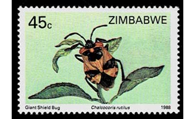 5_000000014844.jpg?1735203866