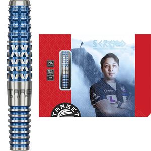 ターゲット SERENO G2 セレーノ2 スイスポイント スティール25g 鈴木徹
