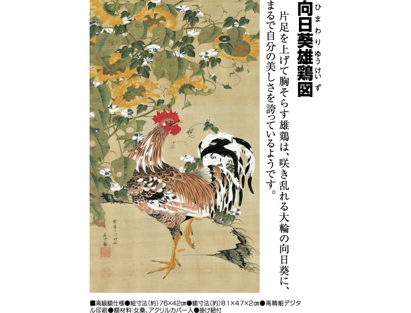 伊藤若冲 動植綵絵 向日葵雄鶏図 高級仕様 額 美術品 インテリア 作品