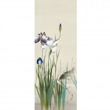 渡辺省亭『十二ケ月花鳥画』5月 花菖蒲に鯉 額【ポイント5％還元中