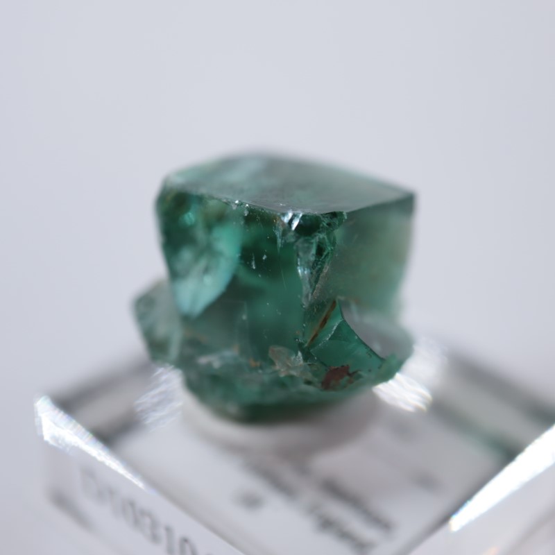 ロジャリー鉱山 フローライト | 鉱物標本,ハ行,フローライト/蛍石