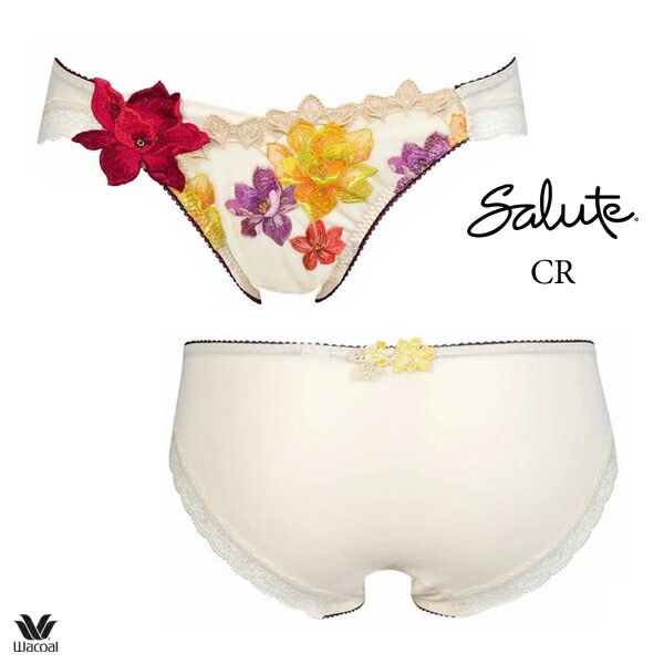 ワコール サルート 30G ショーツ PTJ730 M・L ハイレッグ ノーマル