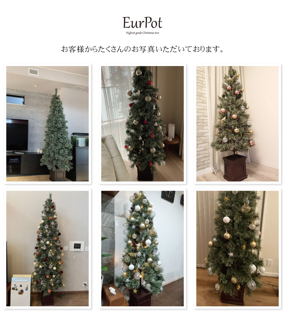 簡単組立式】ヨーロッパトウヒツリー 120cm 150cm 180cm 210cm 240cm