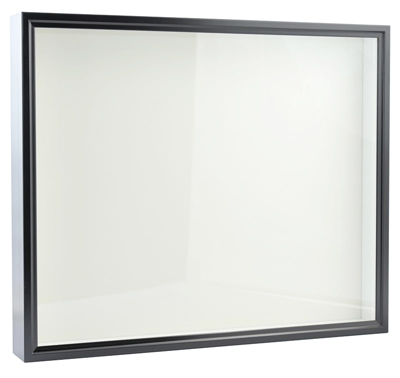 バードウィング製 ドイツ型標本箱 大型BW60 【黒】 | ドイツ型標本箱