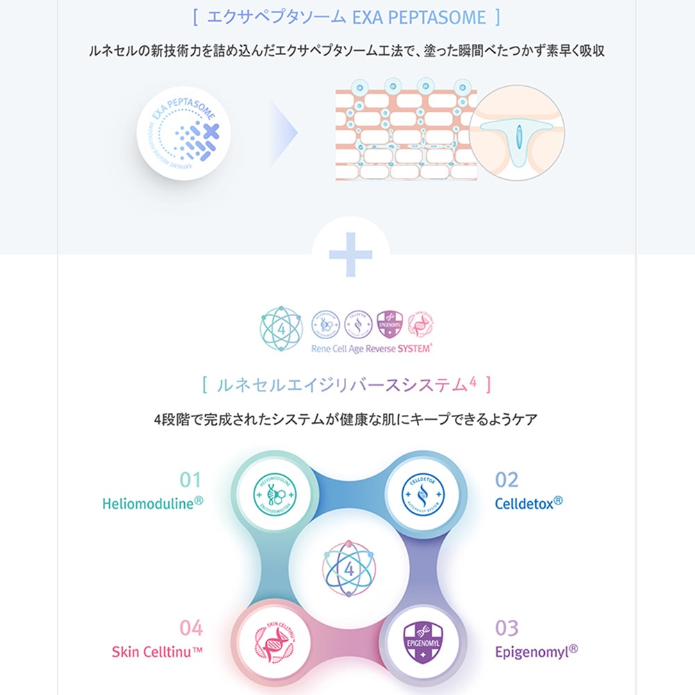 Rene-Cell Absorber Peptide Cream | ルネセル アブソーバー ペプチド