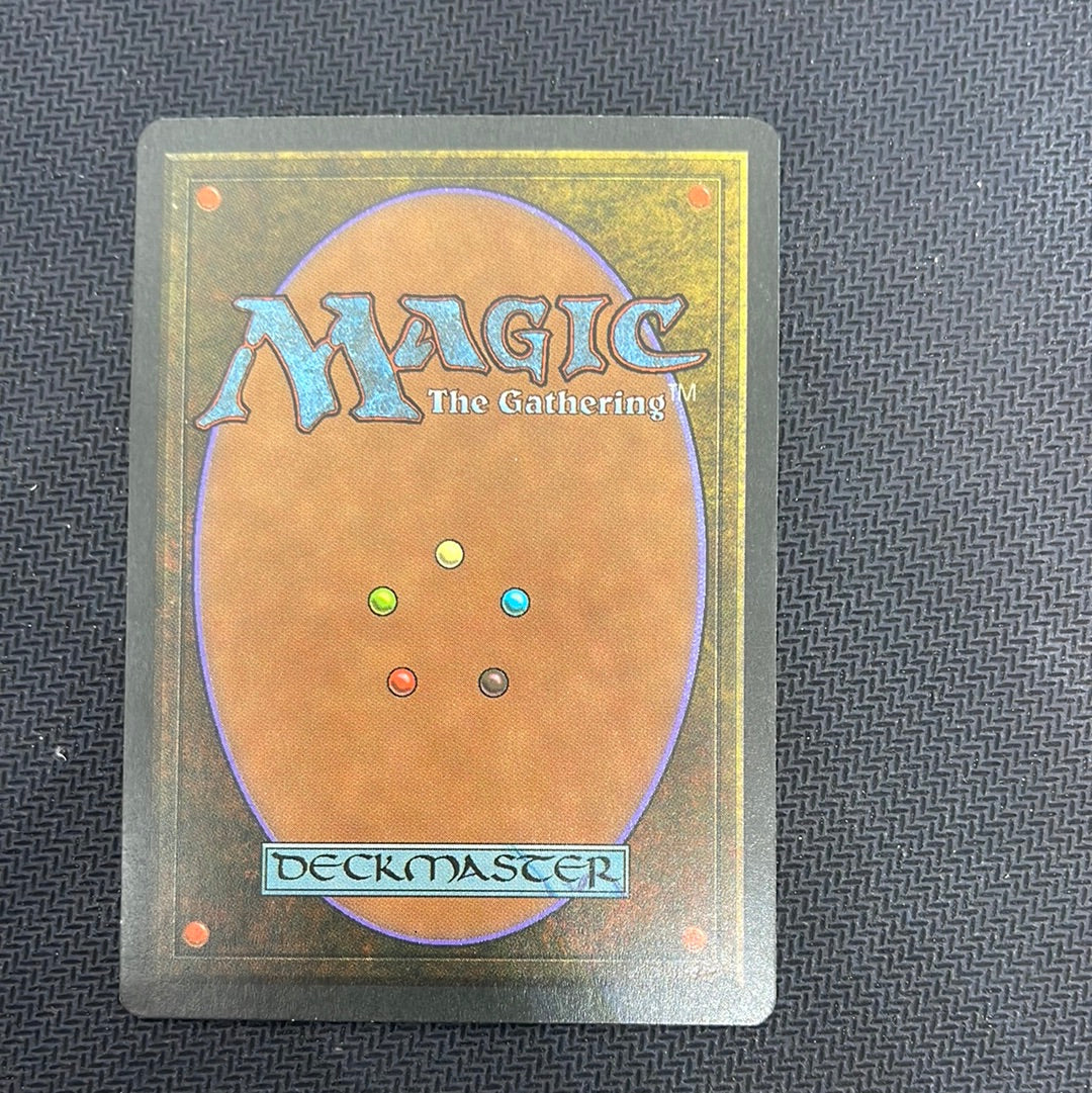 Taiga ドイツ語 黒枠 3EDBB サインド MTG Taiga ドイツ語 黒枠 3EDBB