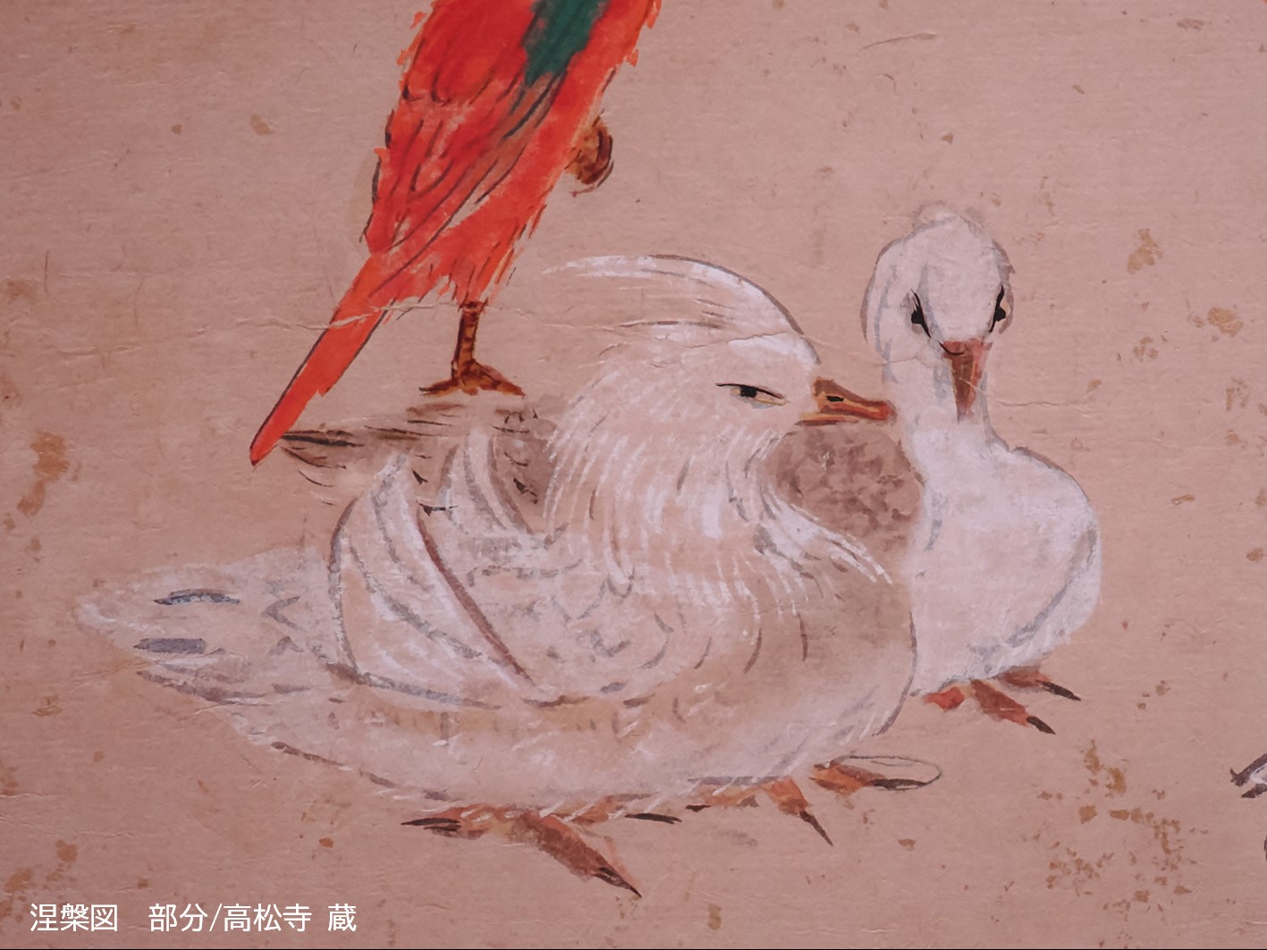 Vol.103 学芸員コラム：涅槃図の鳥たち（R7.2.11 文責：内川） | 松本