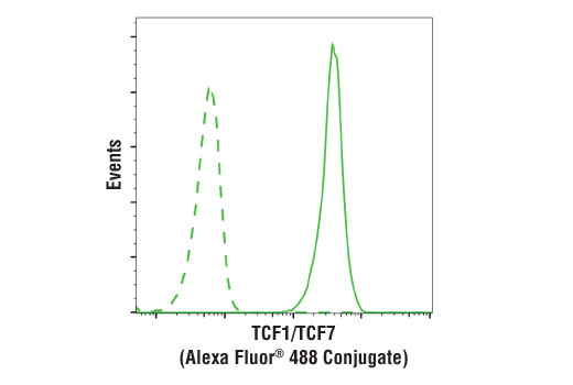 TCF1/TCF7 (C63D9) Rabbit Monoclonal Antibody (Alexa Fluor® 488