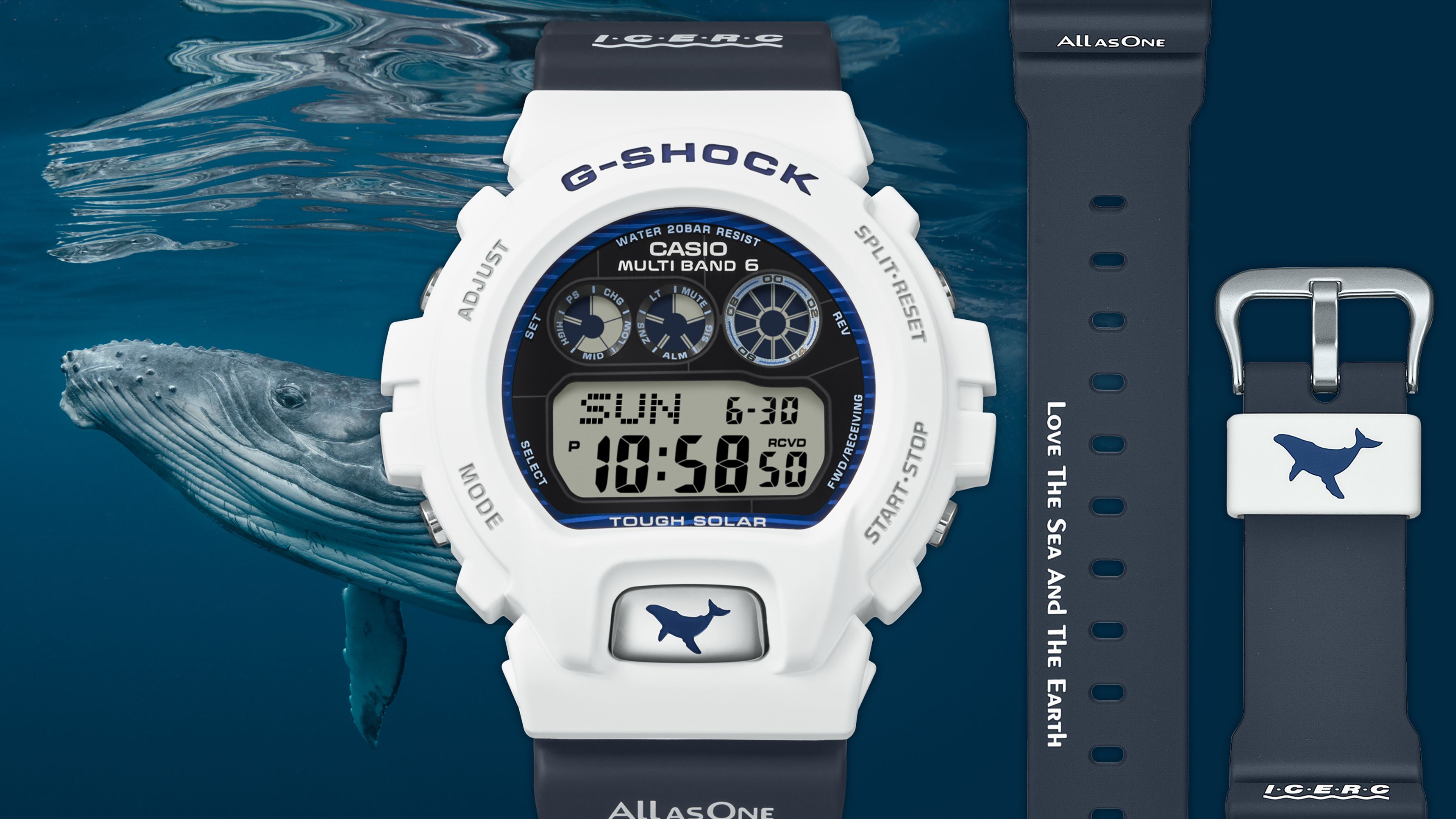 G-SHOCKとBABY-Gに“イルクジ”の2025年モデルが登場！ ザトウクジラと