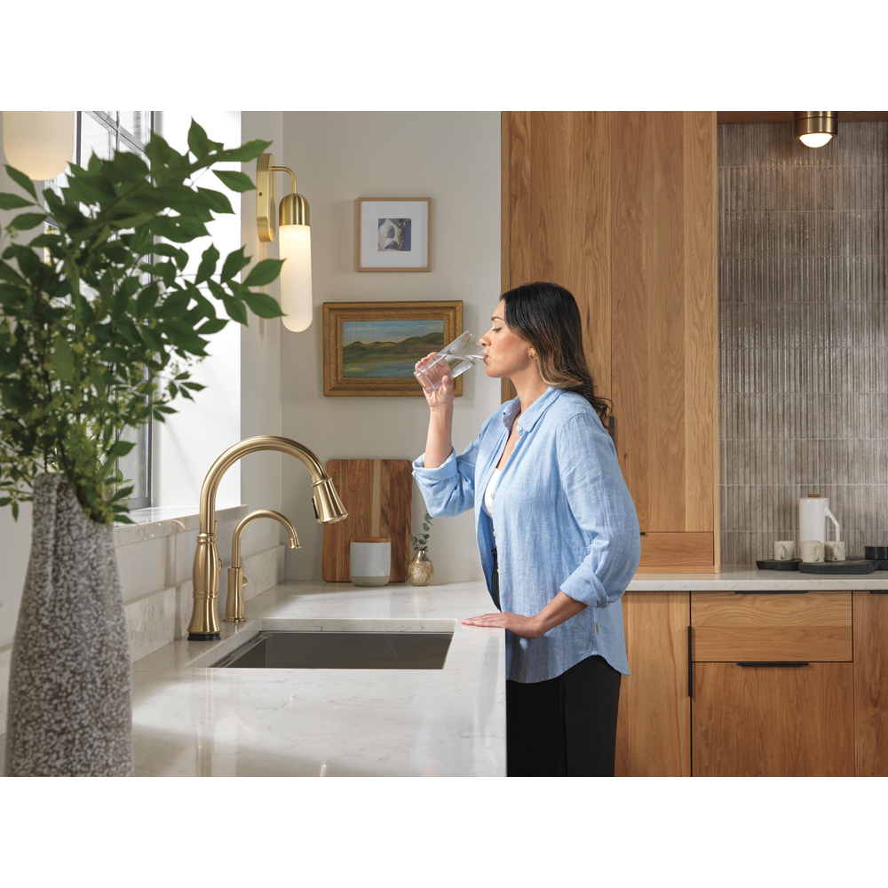 Cassidy Touchless Kitchen Pulldown CZ 9197TL-CZ-PR-DST | Delta Faucet