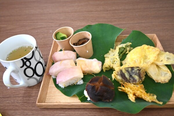 蓮の花の豆知識｜夏を彩る美しく清らかな花の秘密とは - MKメディア