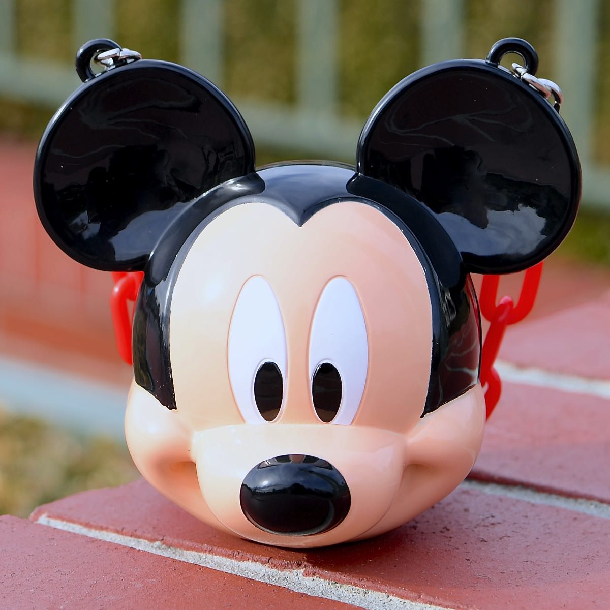 待望のミッキー・ミニー・プーさんが登場！東京ディズニーランド ミニ