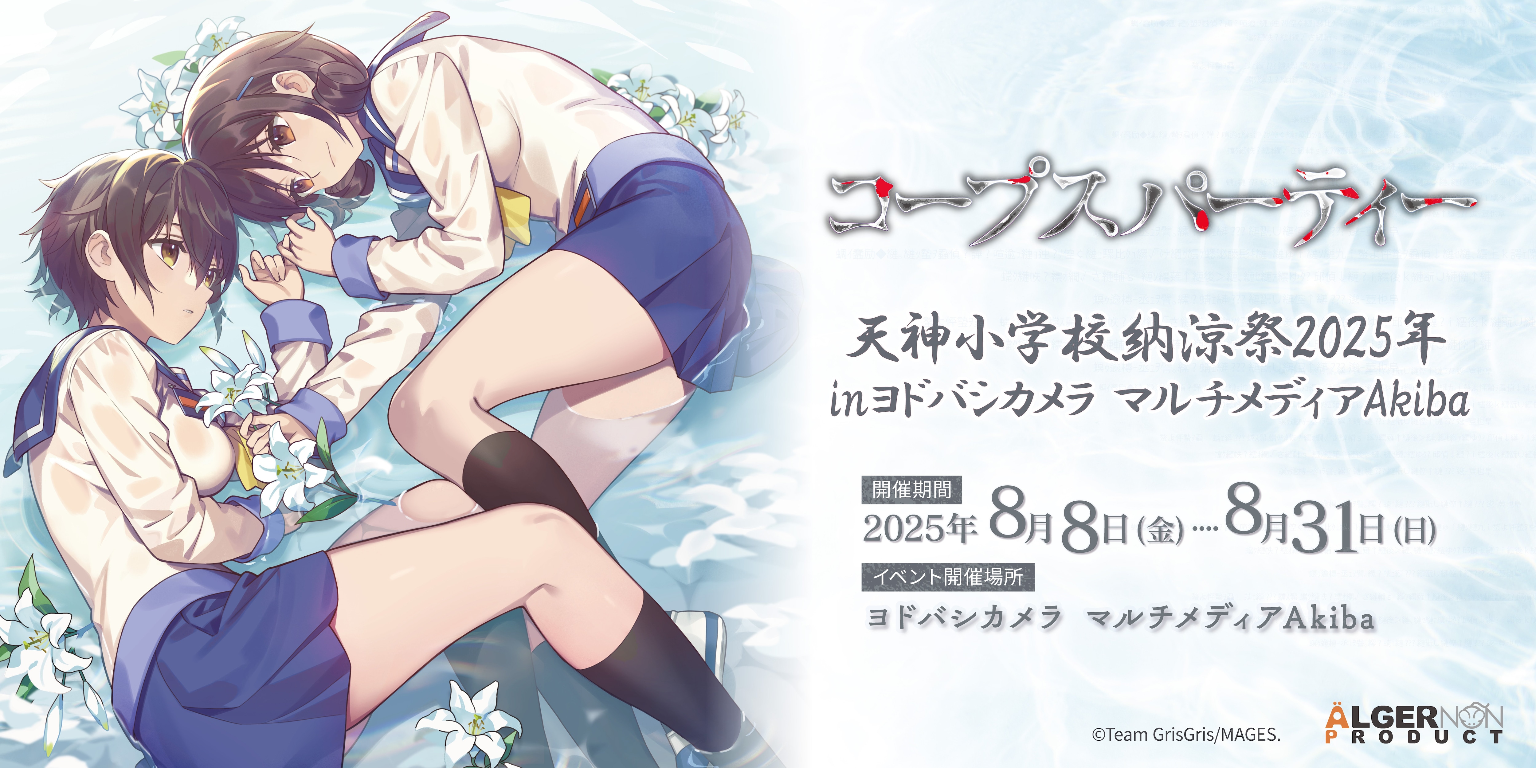 img_87ff0d4c493ab01e54b6b82d95