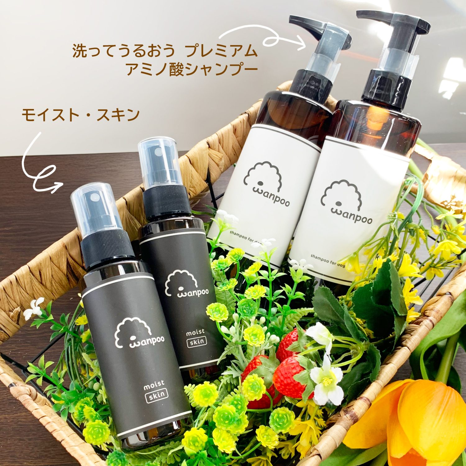 トライアルセット – Wanpoo