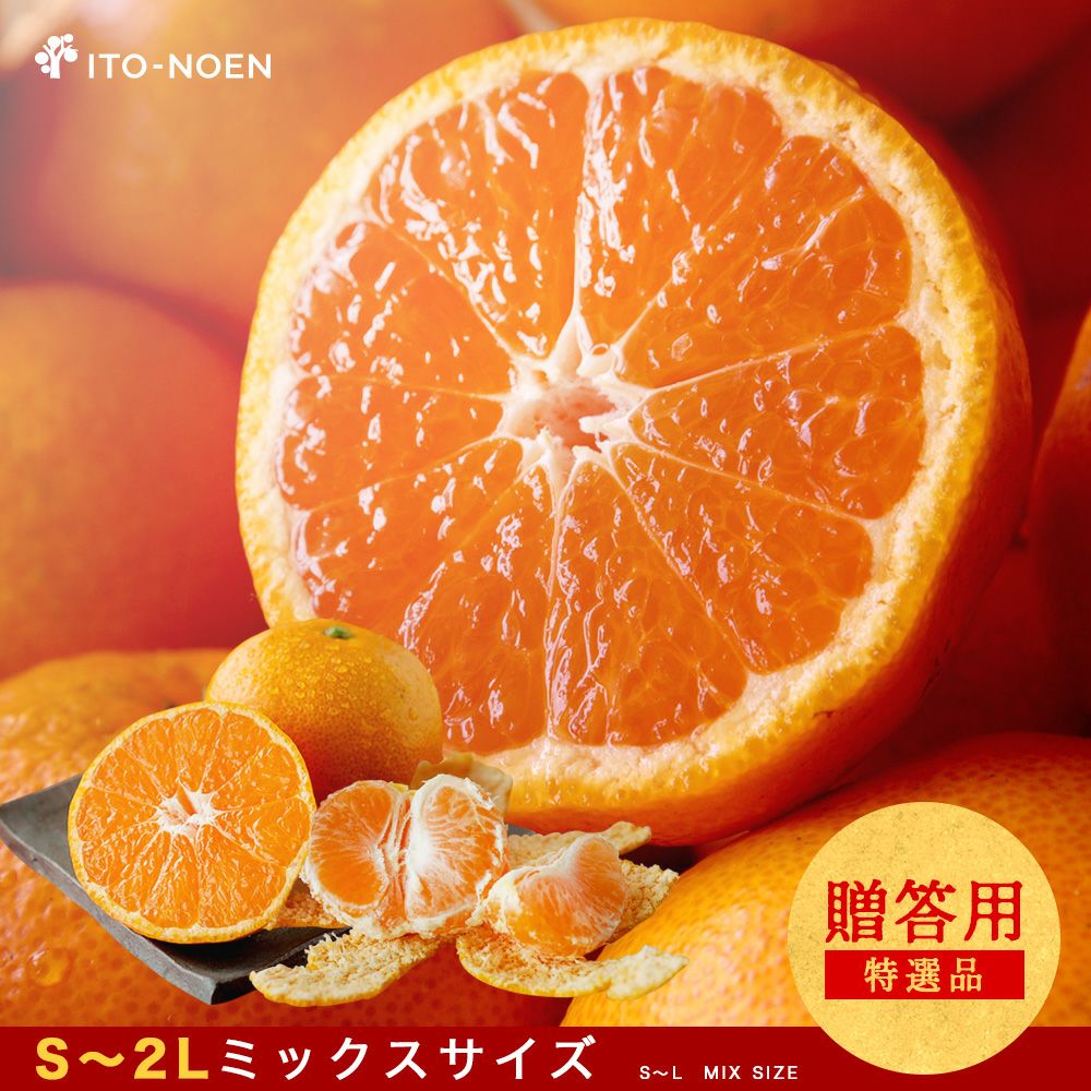 みかん様確認用☆ みかん様 ミカン みかんページ ミカン様 ミカン様