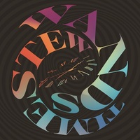 新しいWANDSのその先へ――上原大史と柴崎浩が語る新作『TIME STEW』の