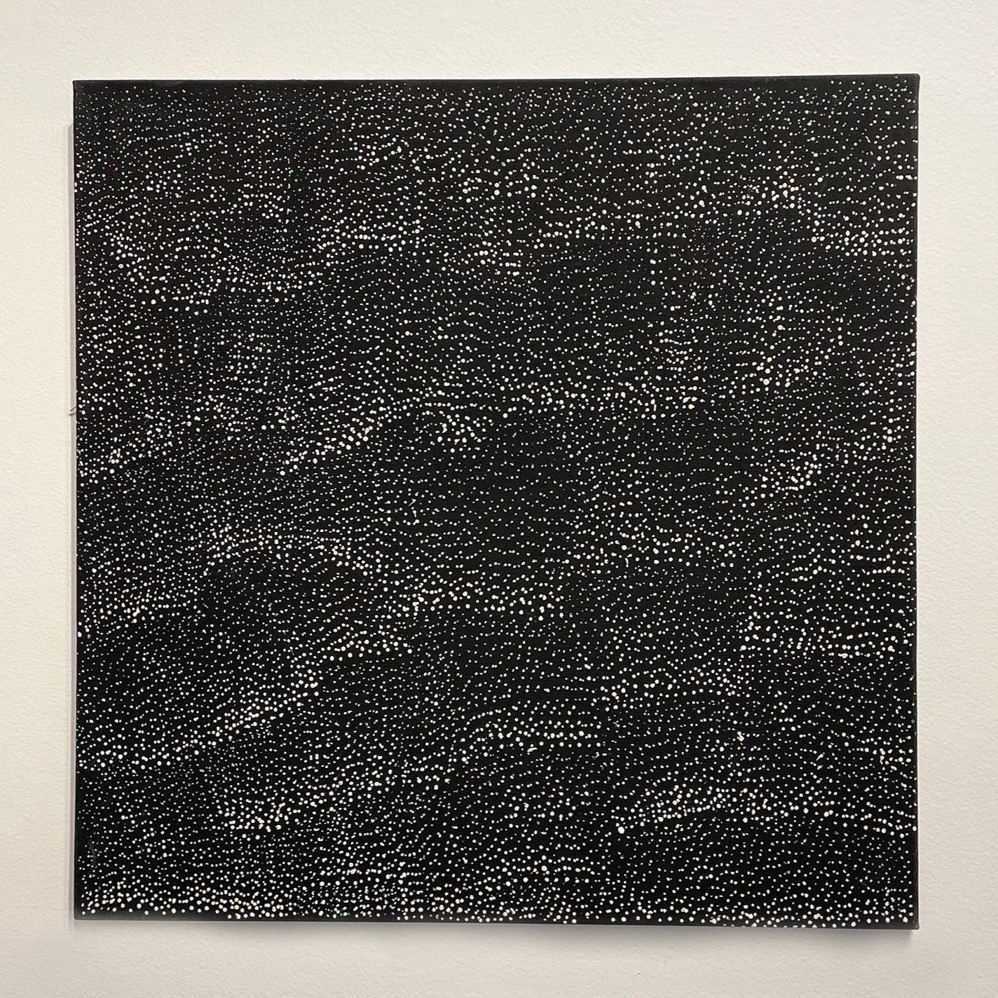 lily-kelly-napangardi-A16094-