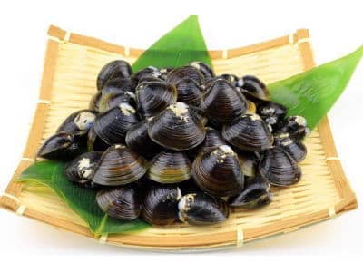 シジミの産直販売/鮮魚の産直通販：のん気な魚屋