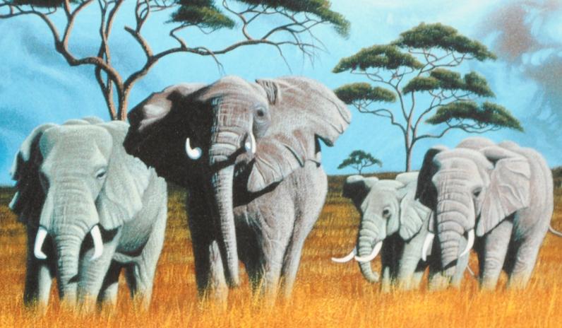 シム・シメールがジークレーの版画で制作したインテリアの絵画