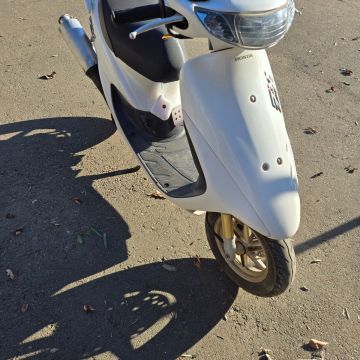 ホンダ（HONDA） ライブディオZX | Live Dio ZXの写真/画像をバイクSNS