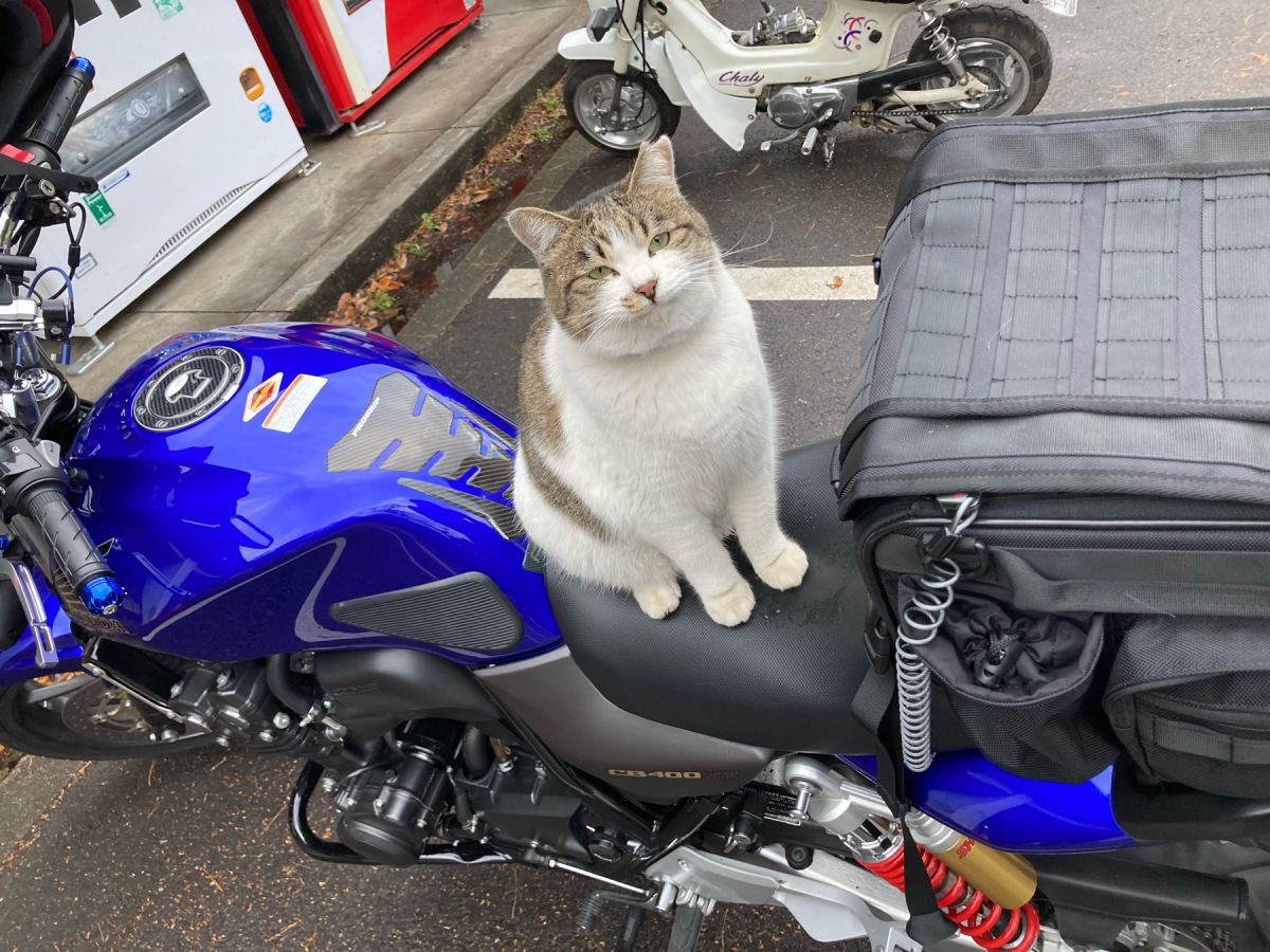 投稿詳細｜MOTOCLE