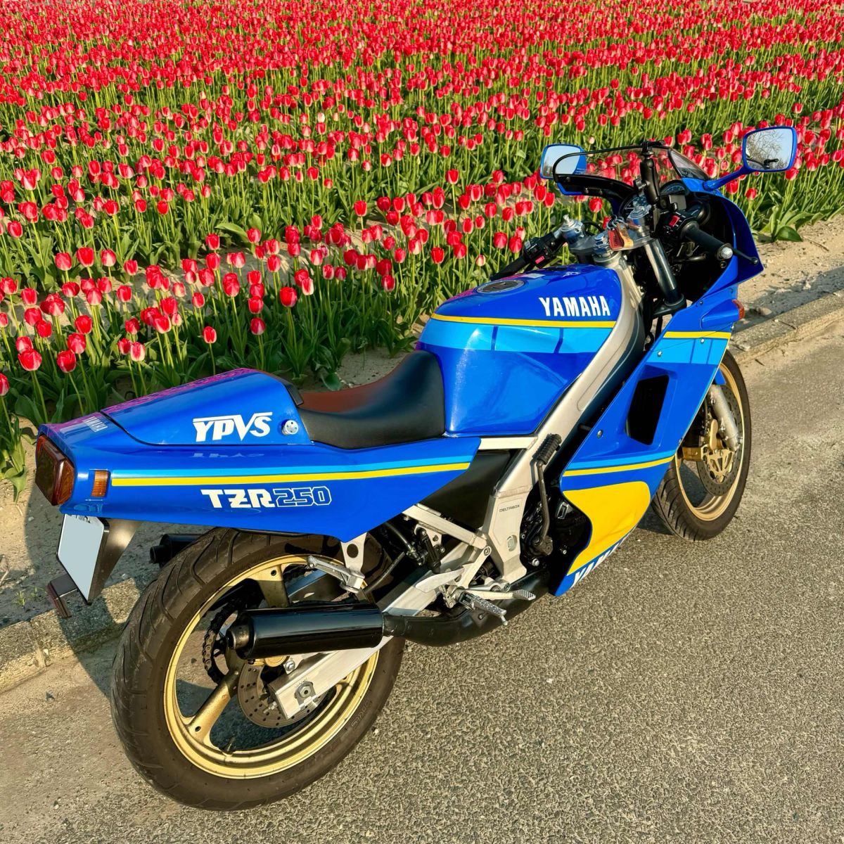 投稿詳細｜MOTOCLE