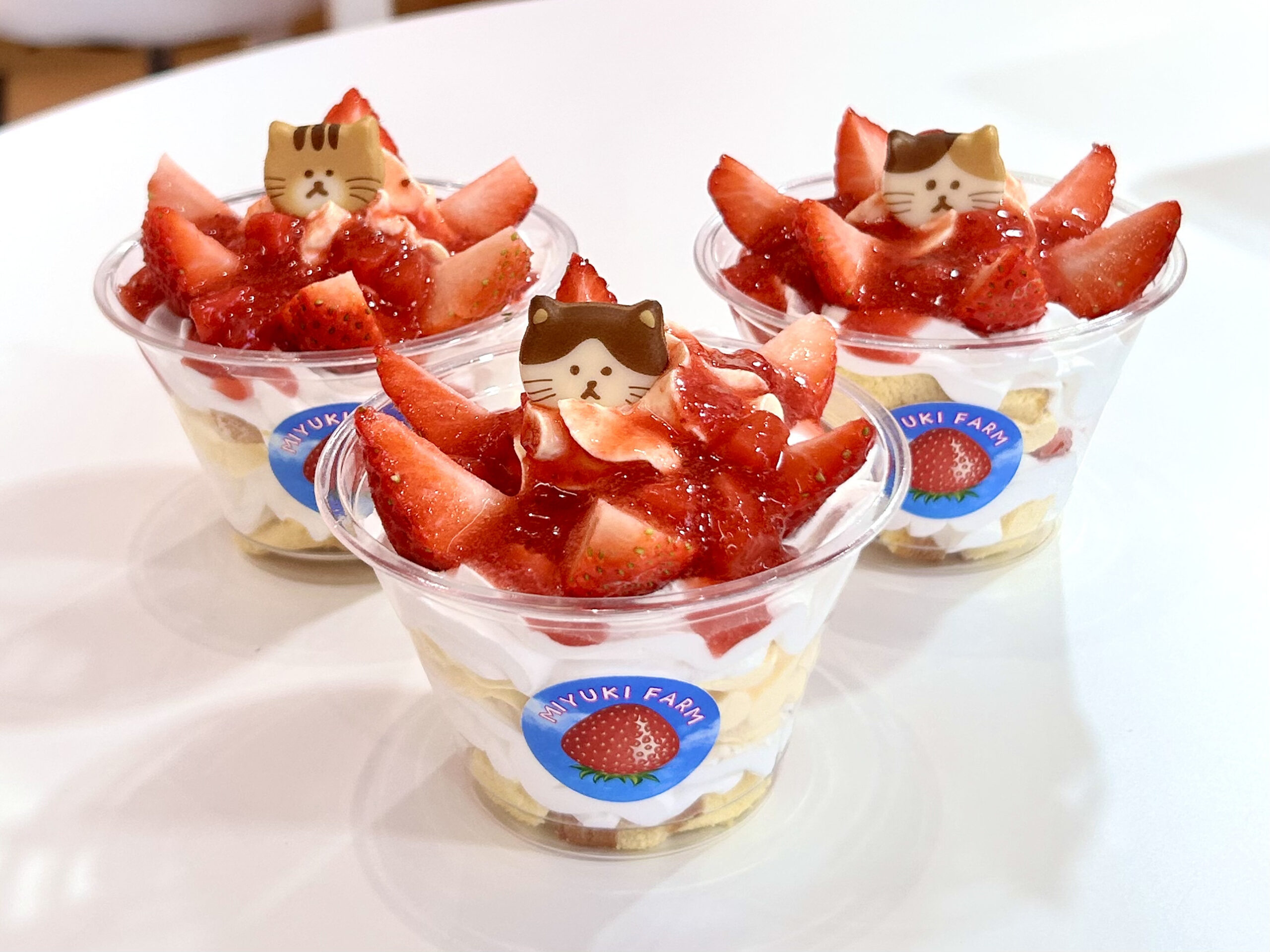 有田町】みゆきファーム直営「苺屋」へ！季節限定スイーツと採れたて苺