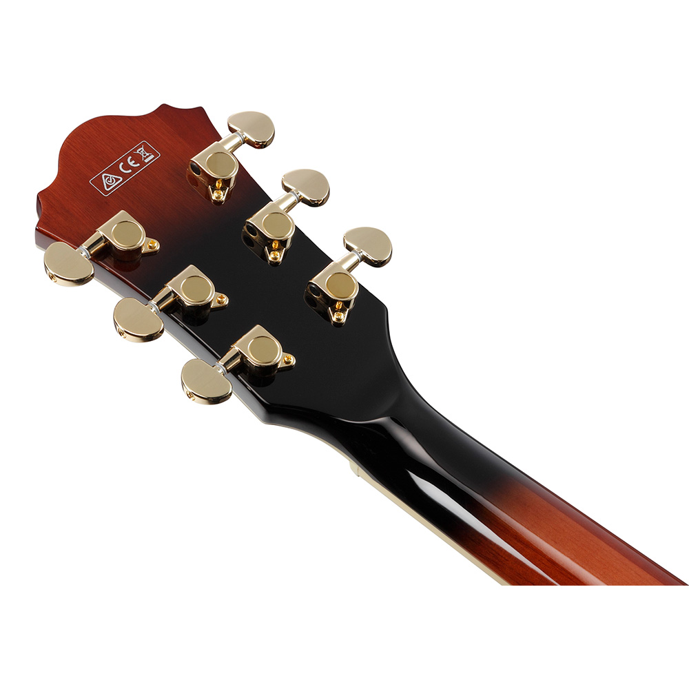 Ibanez AG Artcore Expressionist AG95QA-DBS (Dark Brown Sunburst