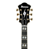 Ibanez PM200-NT (Natural) [Pat Metheny Signature Model