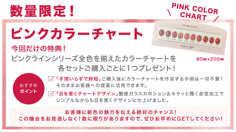 2025年2月paragelピンクラインカラーセットキャンペーン / NES