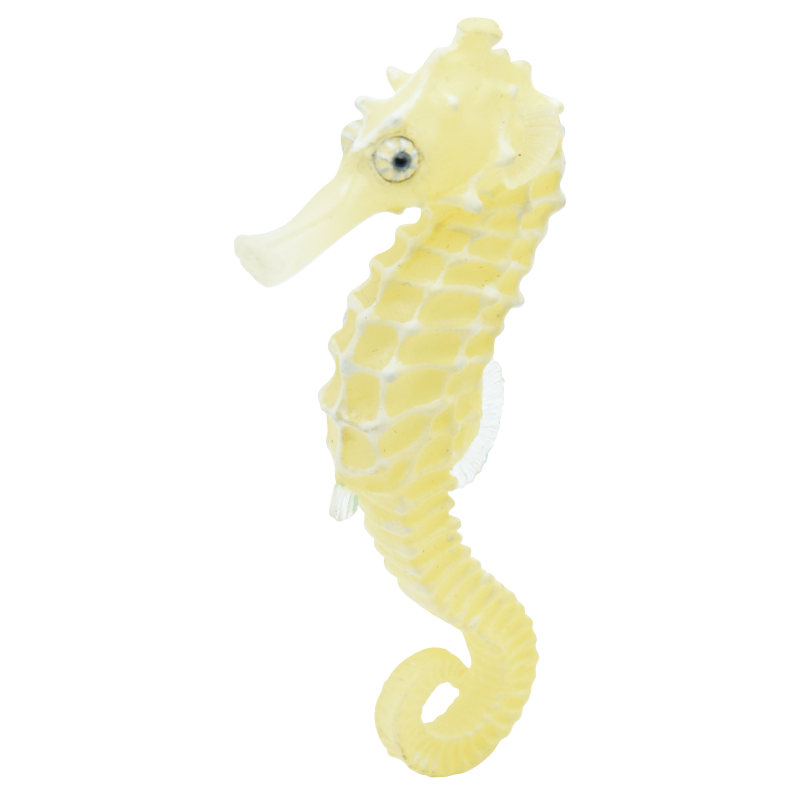 giant-seahorse_magnet_05.png