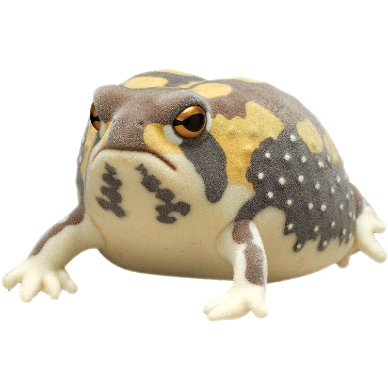 ネイチャーテクニカラーFLOCKY 土まみれのフクラガエル – ネイチャー