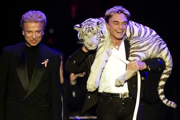 大型ネコ科動物の危険性、最近の事故 | ナショナル ジオグラフィック