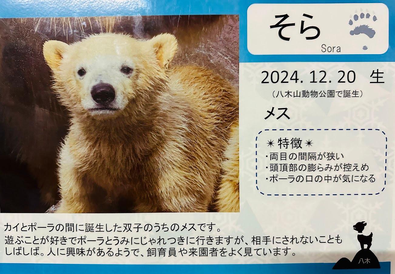 仙台市】60周年の八木山動物公園。ホッキョクグマ親子がデザインされた