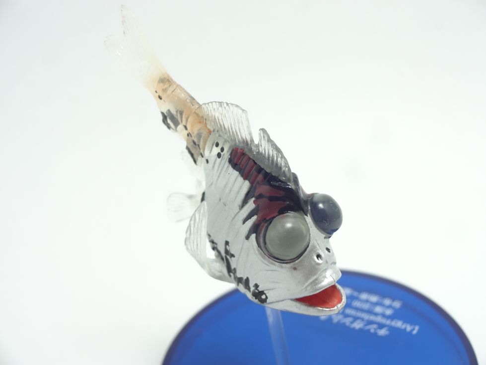 フクロウナギ Pelican Eei フィギュア サファリ社 全長23㎝ 深海魚