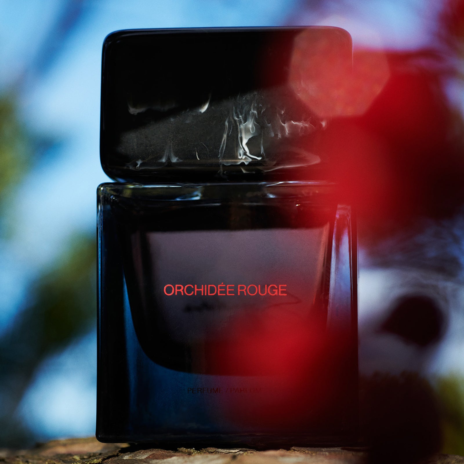 LM_SORA_DORA_ORCHIDEE_ROUGE_07