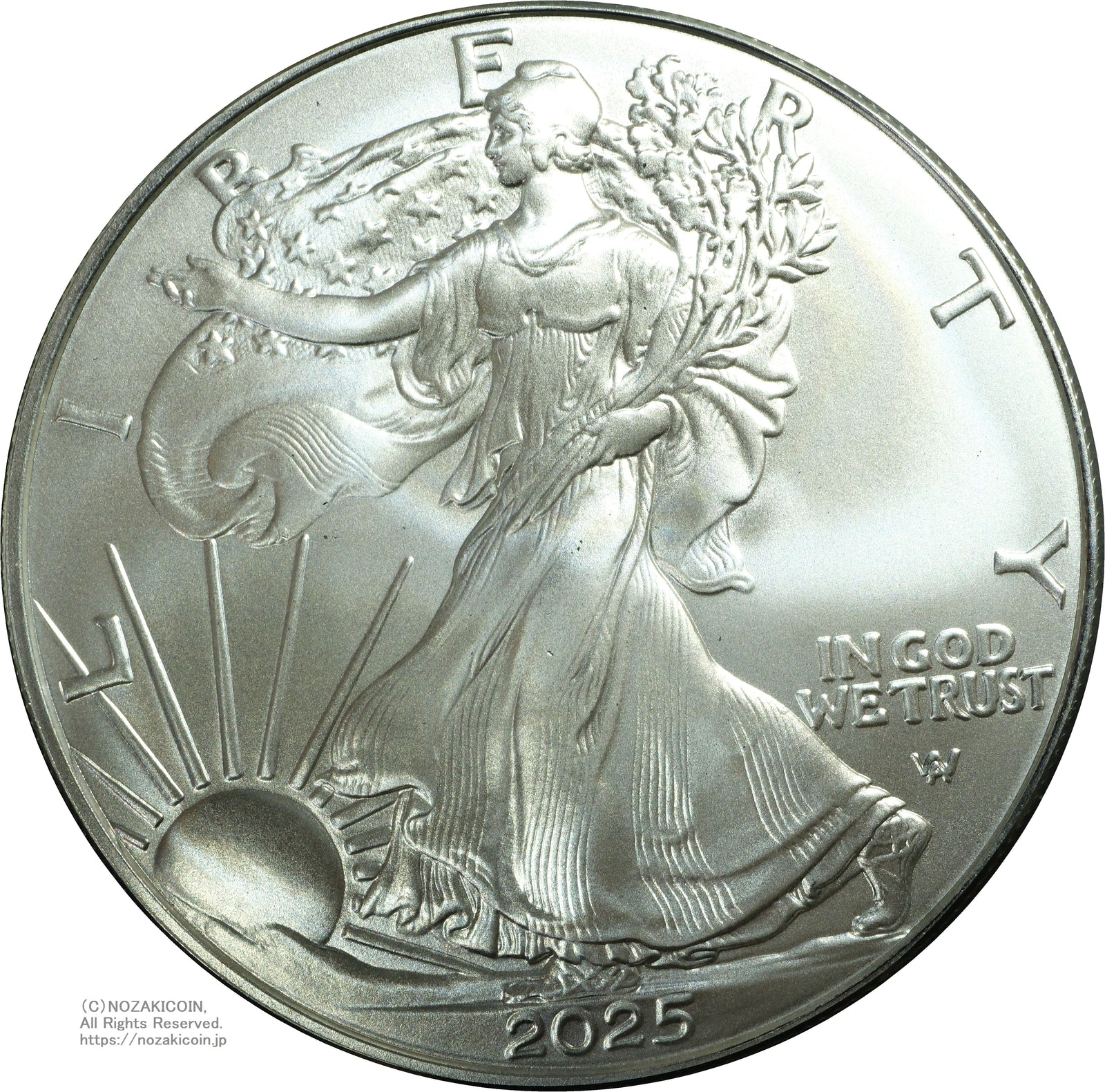 DSCF0130_1600x.jpg?v=1738146477