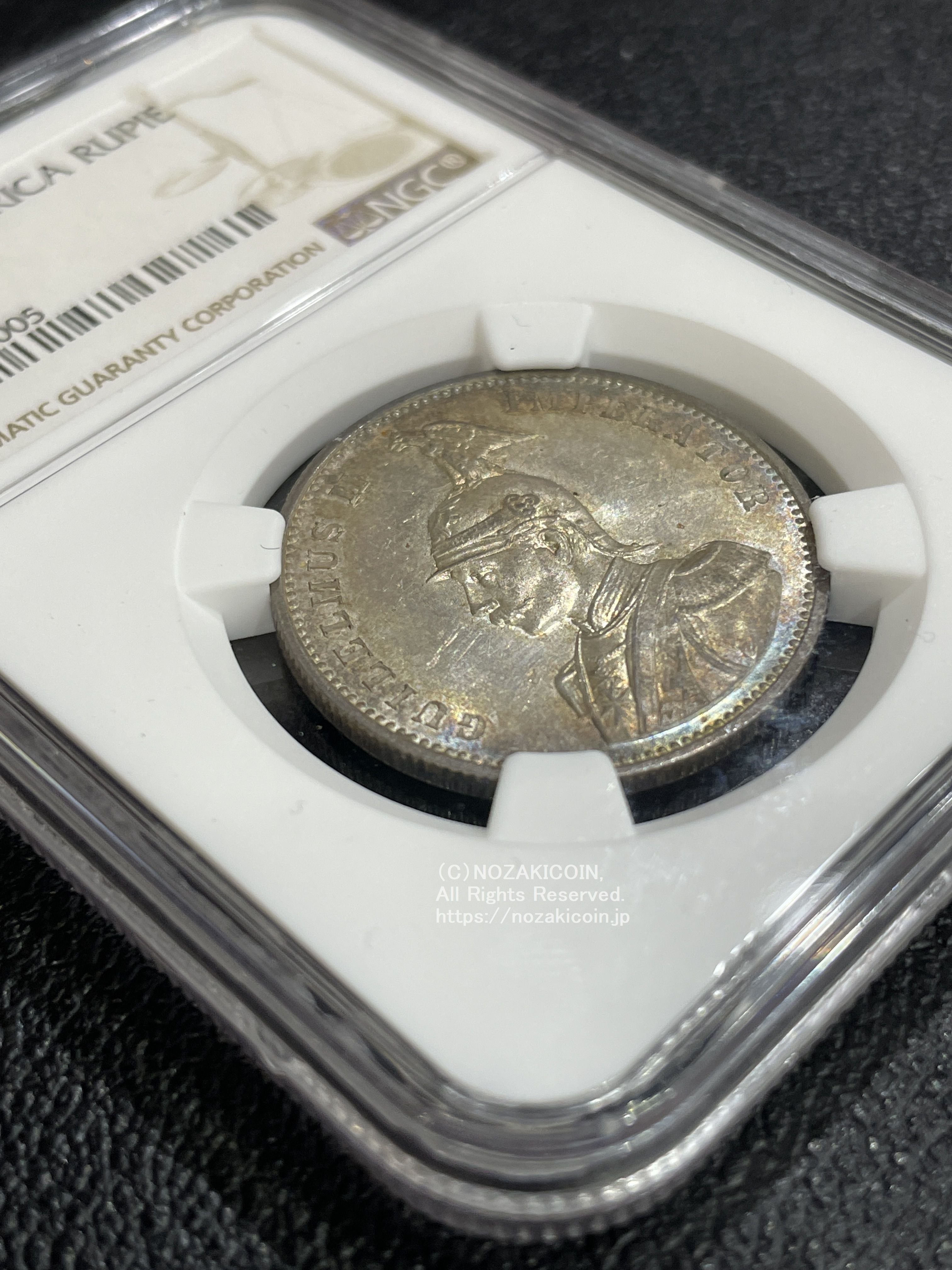 IMG_6203.jpg?v=1705040722