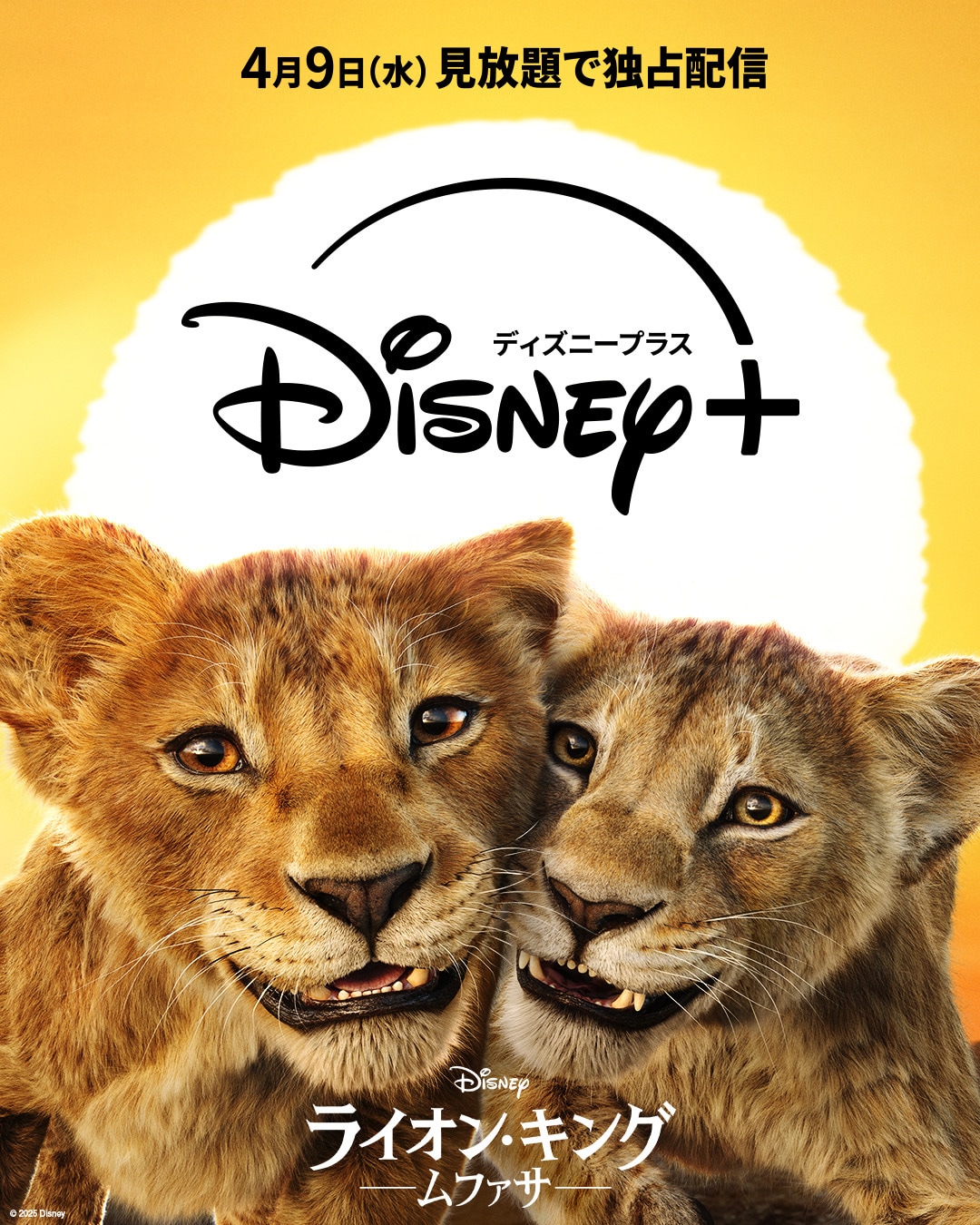 ライオン・キング：ムファサ」4月にディズニープラスで見放題独占配信