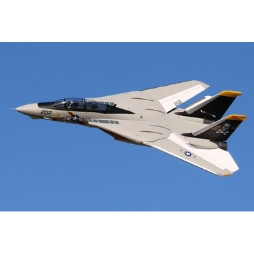 Freewing F-14 Tomcat Twin 64mm EDF Jet - ARF PLUS [FJ11411AP