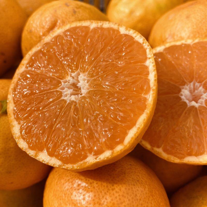 田口早生みかん サイズ混合送料込み | おいしく食べて和歌山モール