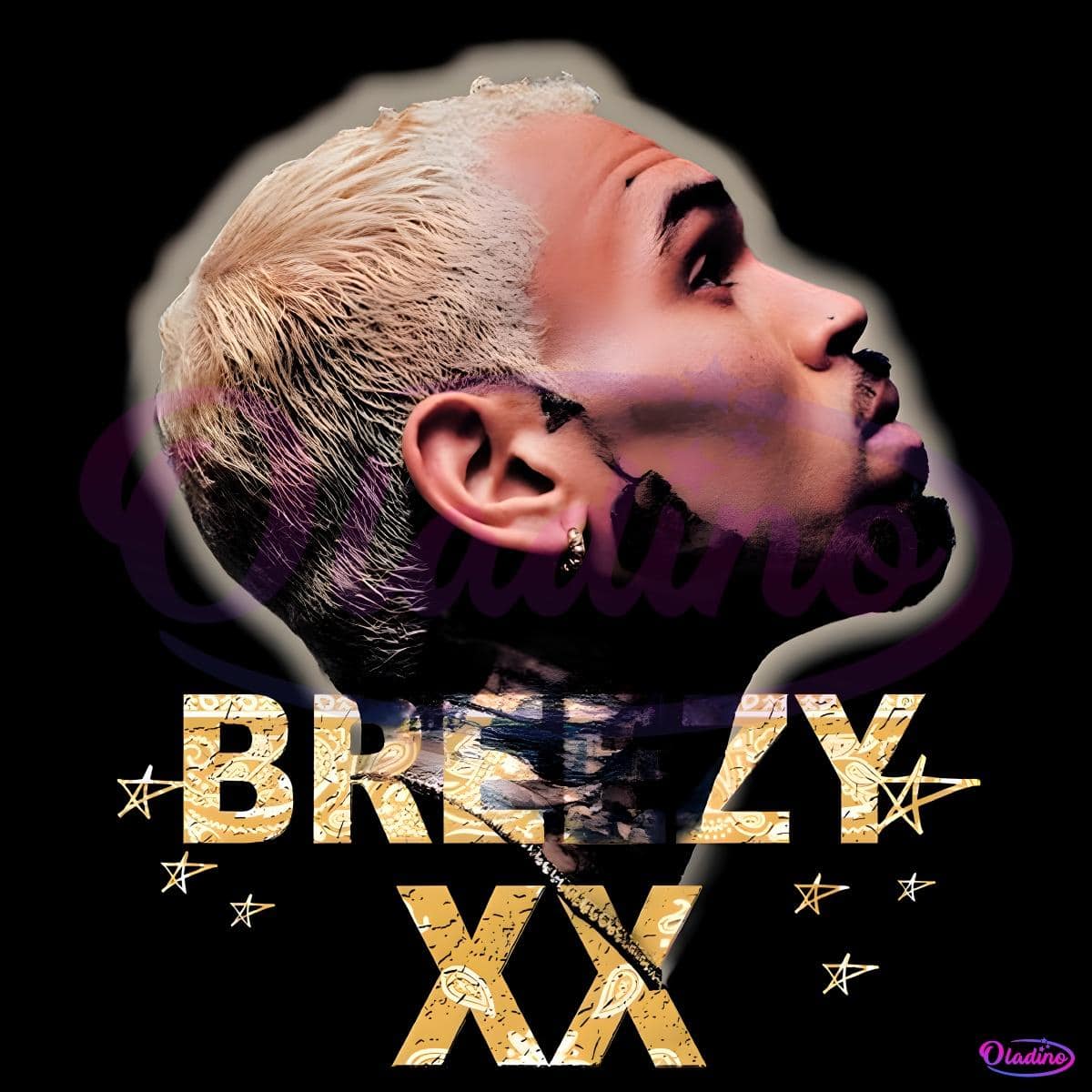 Chris Brown Breezy Xx Gold Star Tour Png - Free Download