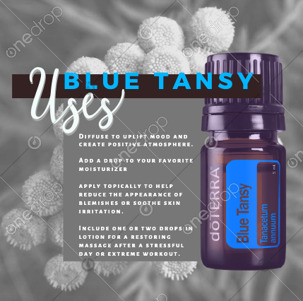 Blue Tansy by Tena Pettis - One Drop